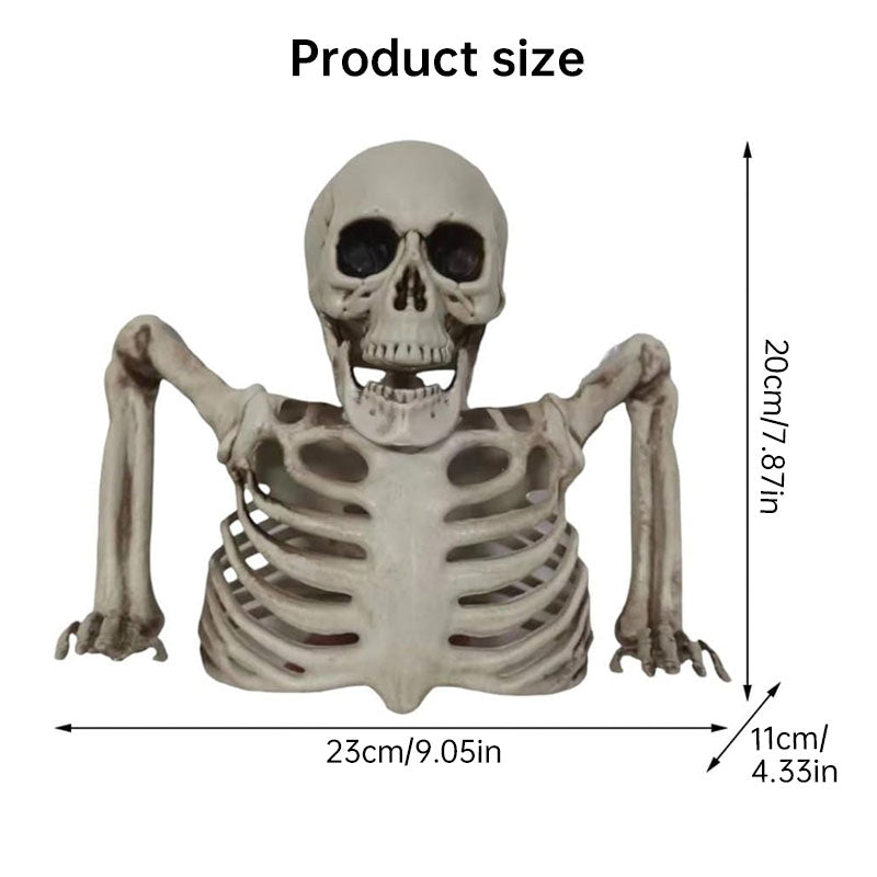 Halloween Skeleton Decoration