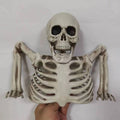 Halloween Skeleton Decoration
