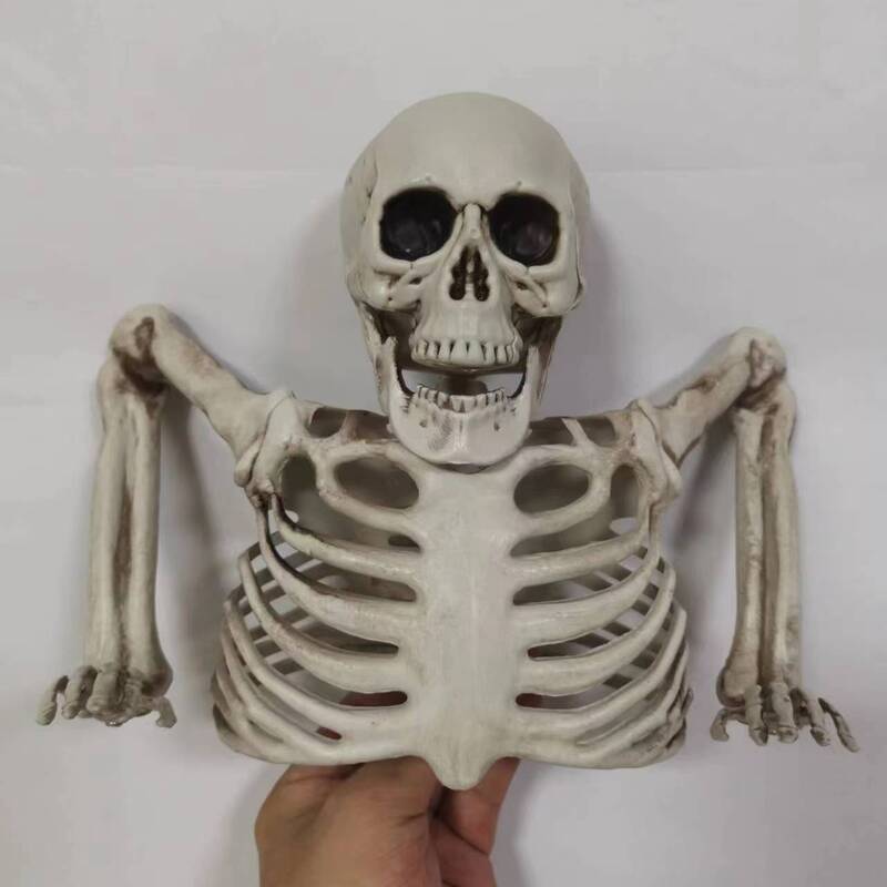 Halloween Skeleton Decoration
