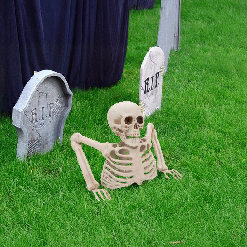 Halloween Skeleton Decoration